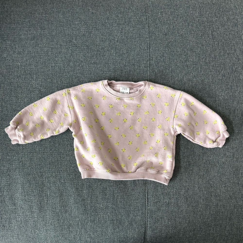 Zara Toddler Girls Light Purple Floral Sweatshirt 2T